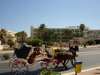 Marabout Hotel 